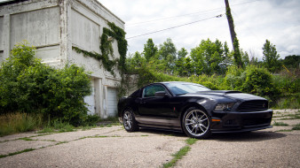 Ford Mustang     1920x1080 ford, mustang, , motor, company, 