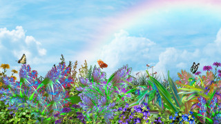     733240 (a):shaman :1920x1080