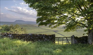 yorkshire, dales, england, , , , , , , 