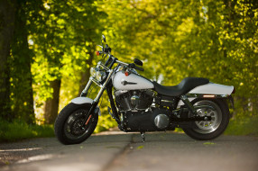 Harley-Davidson Fat Bob     3600x2395 harley, davidson, fat, bob, , harley-davidson