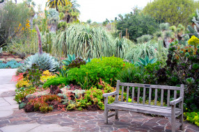 Botanical Garden San Marino California     2048x1365 botanical, garden, san, marino, california, , , , , 