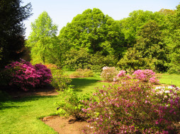 Azalea Garden,   Richmond, England     2436x1827 azalea, garden, richmond, england, , , 