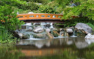 Setagaya Park - Japanese Garden, Vienna, Austria     2048x1299 setagaya, park, japanese, garden, vienna, austria, , , , , , , , , 