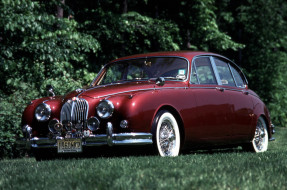      3000x1991 , jaguar, jaggy