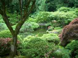 Portland Japanese Garden        2048x1536 portland, japanese, garden, , , , , , , 