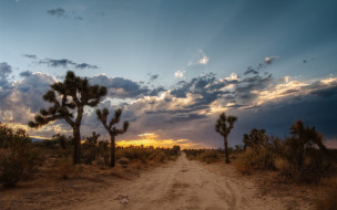 Mojave Desert (USA)     2048x1280 mojave, desert, usa, , , , , , , 