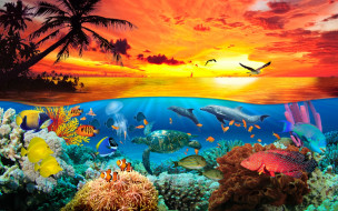     743580 (a):ARWENN :1920x1200