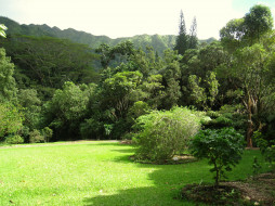 Lyon Arboretum Oahu Hawaii     2628x1971 lyon, arboretum, oahu, hawaii, , , , , 