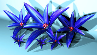     747433 (a): :1920x1080