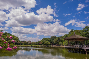 Ukimido Pavilion, Nara Park, Nara, Japan обои для рабочего стола 2048x1363 ukimido, pavilion, nara, park, japan, природа, парк, нара, деревья, павильон, беседка, облака, пруд