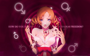      2560x1600 , , catherine, , , 