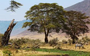 Tanzania. Ngorongoro     2100x1309 tanzania, ngorongoro, , , , , , 