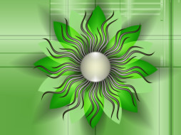     749489 (a): :2500x1875