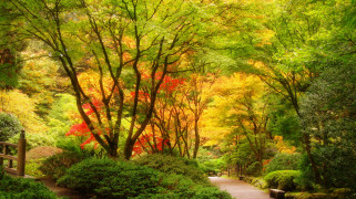 Portland Japanese Gardens       2048x1149 portland, japanese, gardens, , , , , 