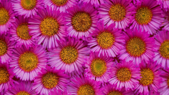     751253 (a): :1920x1080