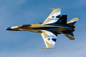 CF-18 Hornet     2000x1333 cf, 18, hornet, , , , , , 