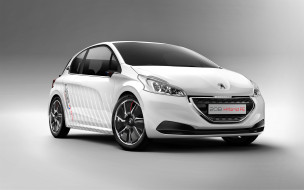 2013 Peugeot 208 HYbrid FE     5600x3500 2013, peugeot, 208, hybrid, fe, 