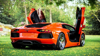 Lamborghini Aventador     1920x1080 lamborghini, aventador, , , -, , automobili, holding, s, p, a