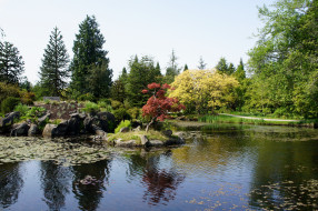 VanDusen Botanical Garden, Vancouver       3624x2412 vandusen, botanical, garden, vancouver, , , , , , , , 
