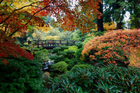 Portland Japanese Garden, Portland      3000x2000 portland, japanese, garden, , , , , , , , 