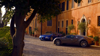 Bugatti Veyron     1920x1080 bugatti, veyron, , , , , automobiles, s, a, , 