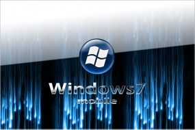 , windows, vienna, , 