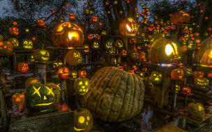      1920x1200 , , , passion, for, pumpkins, halloween, roger, williams, park