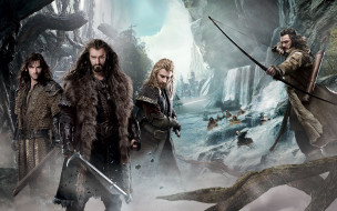 The Hobbit: The Desolation of Smaug     1920x1200 the, hobbit, desolation, of, smaug, , , , , 
