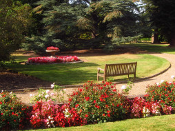 Beale Arboretum   Barnet, England     2432x1824 beale, arboretum, barnet, england, , , , , 