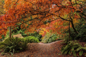 Washington Park Arboretum, Seattle     2048x1367 washington, park, arboretum, seattle, , , , , , , , , , , , 