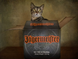 Jägermeister     2048x1537 j&, 228, germeister, , , , , 