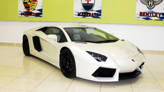 Lamborghini Aventador     2048x1152 lamborghini, aventador, , , , , , -, , automobili, holding, s, p, a