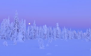     768768 (a): :1920x1200