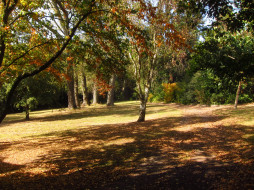 Beale Arboretum    England     2436x1827 beale arboretum    england, , , , , , 
