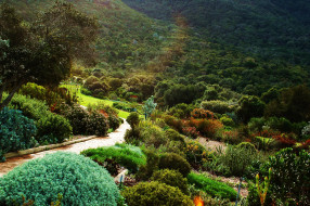 Kirstenbosch National Botanical Garden South Africa     2068x1375 kirstenbosch national botanical garden south africa, , , , , , 