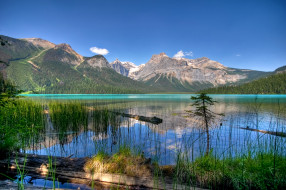 Emerald Lake Yoho National Park,  Canada обои для рабочего стола 3072x2047 emerald lake yoho national park,   canada, природа, реки, озера, горы, озеро, emerald, canada, national, park, лес, lake, yoho