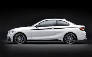 BMW 2-Series Coupe     2560x1600 bmw 2-series coupe, , bmw, bayerische, motoren, werke, ag, , 