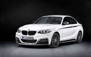 BMW 2-Series Coupe     2560x1600 bmw 2-series coupe, , bmw, , bayerische, motoren, werke, ag, 