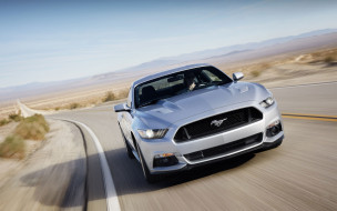Ford Mustang GT обои для рабочего стола 2560x1600 ford mustang gt, автомобили, mustang, сша, автомобиль, культовый, ford, motor, company