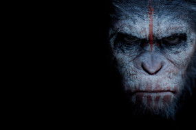 dawn of the planet of the apes,  , , , 