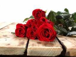     780465 (a):MariJane :6000x4500