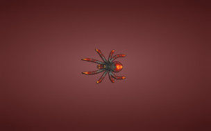      1920x1200 , , , spider, 