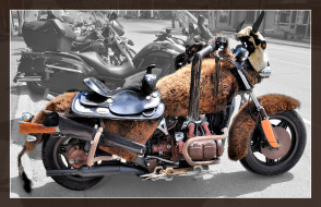 Buffalo Bill Cody bike     2048x1325 buffalo bill cody bike, , customs, , , , 