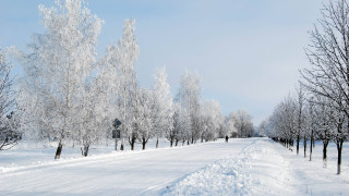 природа, дороги, деревья, дорога, снег