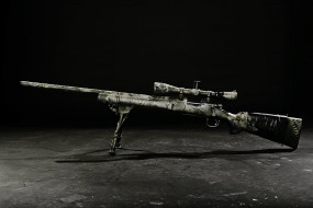      2496x1664 ,   , rifle