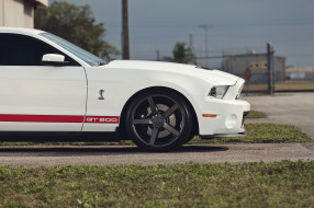      2300x1533 ,  , gt500, shelby, , , muscle, car, , , , mustang, ford