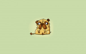      1920x1200 , , , dog