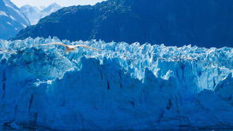 Glacier Bay National Park, Alaska     1920x1080 glacier bay national park,  alaska, ,   , , , , , , alaska, , , , , glacier, bay, national, park
