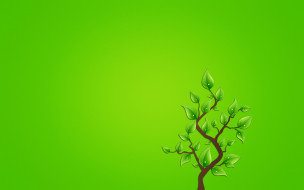     795248 (a): :1920x1200