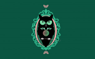      2560x1600 , , , , , owl